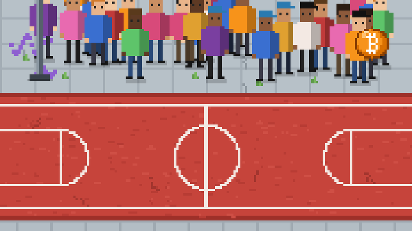 BSKT Ball cover