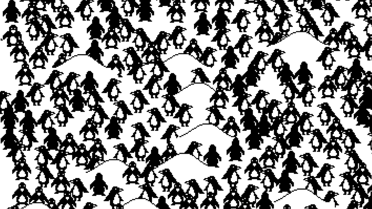 Snow Flow cover